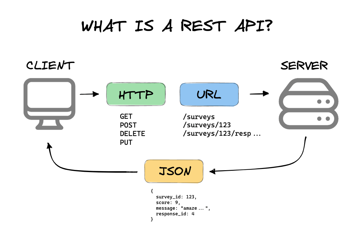 Understanding REST APIs: A Practical Guide